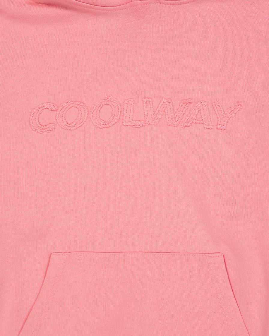 Washed Pink Hoodie